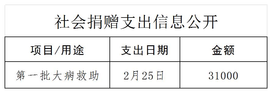 社会捐赠支出信息公开(陵川)_大病救助资金支出2026 .jpg